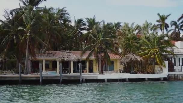 Hermosa casa acogedora entre maravillosas palmeras en la orilla de la bahía, playa de islas soleadas, miami — Vídeo de stock