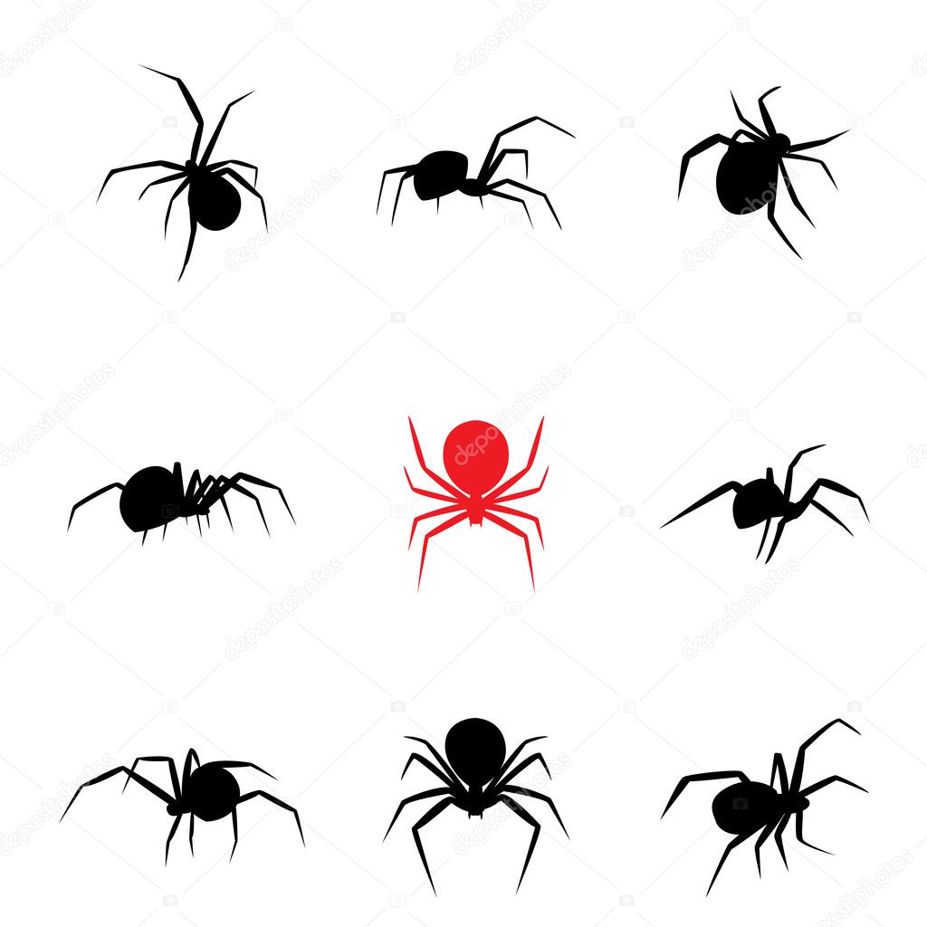 Black widow spider in silhouette style, vector