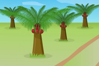 Afrika palmiye yağı alan, vektör