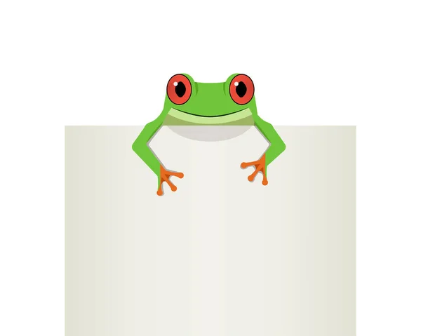 Červených očí žába na horním bílém papíře, vektorové — Stockový vektor