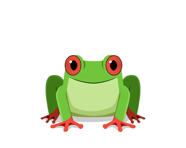 Red eye frog, Front view, vector — Stock Vector