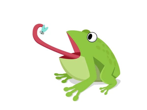 Green frog eat insect on white, cartoon vector — Stock Vector