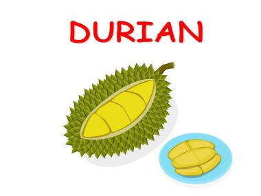 Durian beyaz vektör tasarımı üzerinde izole meyve