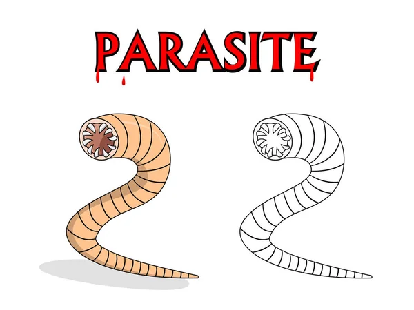 Vektör karikatür tasarımında paraziter Yuvarlak solucanlar solucan