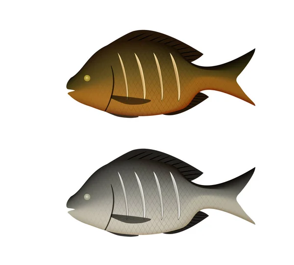 Pescado hervido y frito en blanco en vector 3D — Archivo Imágenes Vectoriales