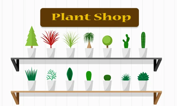 Tienda de plantas interiores con planta verde en estante — Vector de stock