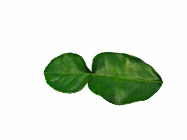 Yeşil Güney Afrika'da bir kabile kireç yaprakları üzerinde beyaz izole