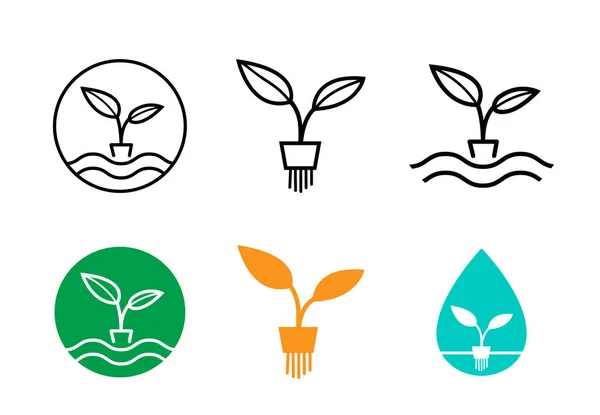 Hidroponia plantas logotipo e símbolo, design vetorial — Vetor de Stock