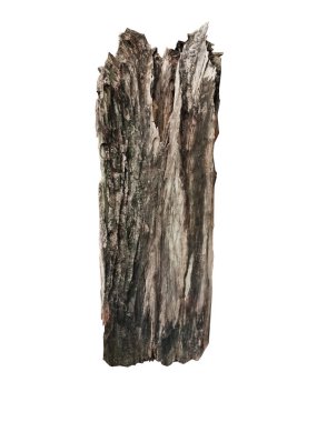 Ahşap günlük Beyaz, Bahçe tasarımı için izole