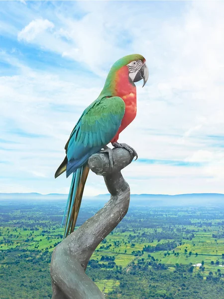 Dalı orman ile papağan ve arka plan gökyüzü