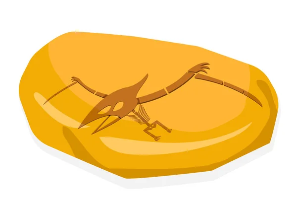 Pterosauriërs bot in amber fossiele, op witte vector — Stockvector