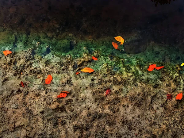 汚れた砂と水質汚濁水の背景 — ストック写真