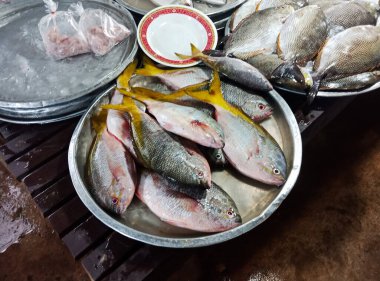 Gri tepside satılık taze balık grubu.