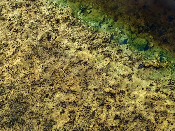 Schmutziger Sand Und Verschmutztes Wasser — Stockfoto