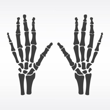 İnsan elinin kemikleri