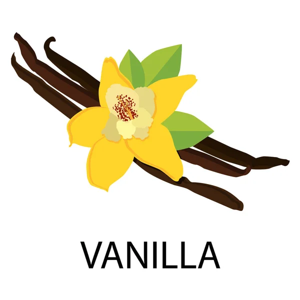 Vanilkový květina vektoru — Stockový vektor