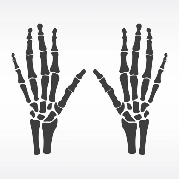 Emberi kéz csontjai — Stock Vector