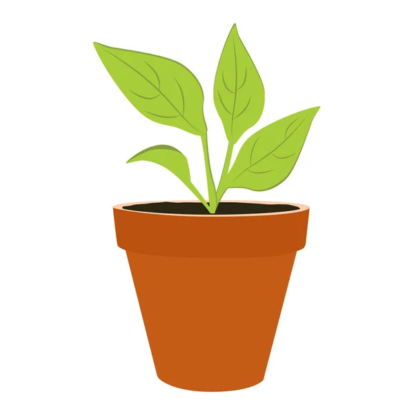 Plant groeiende vector — Stockvector