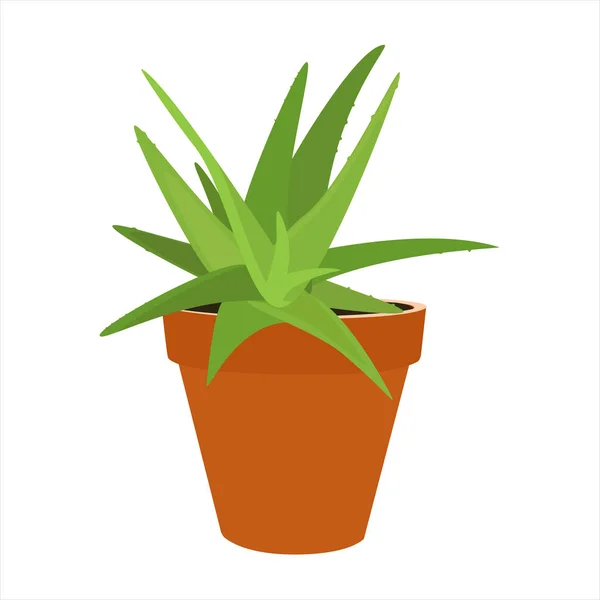 Aloe vera vettore — Vettoriale Stock