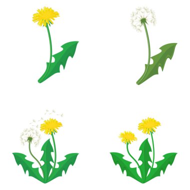 Dandelions set vektör