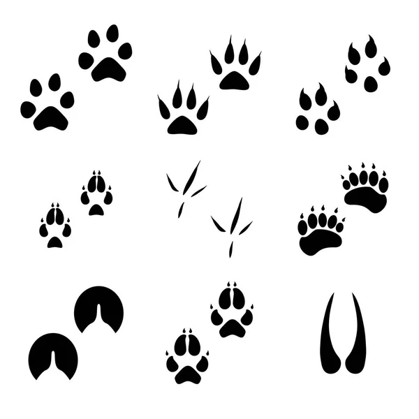 Animal footprints vector — Stock Vector