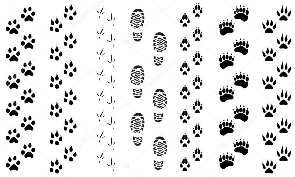 Animal footprints vector