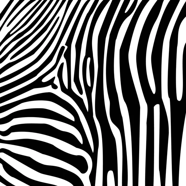 Vetor padrão de zebra —  Vetores de Stock