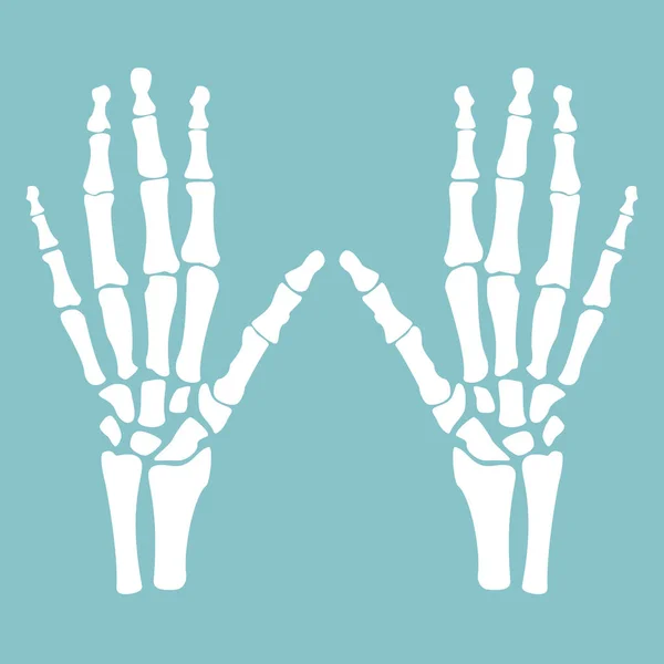 Vecteur mains humaines — Image vectorielle