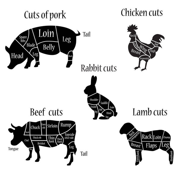 Butcher chart diagramm