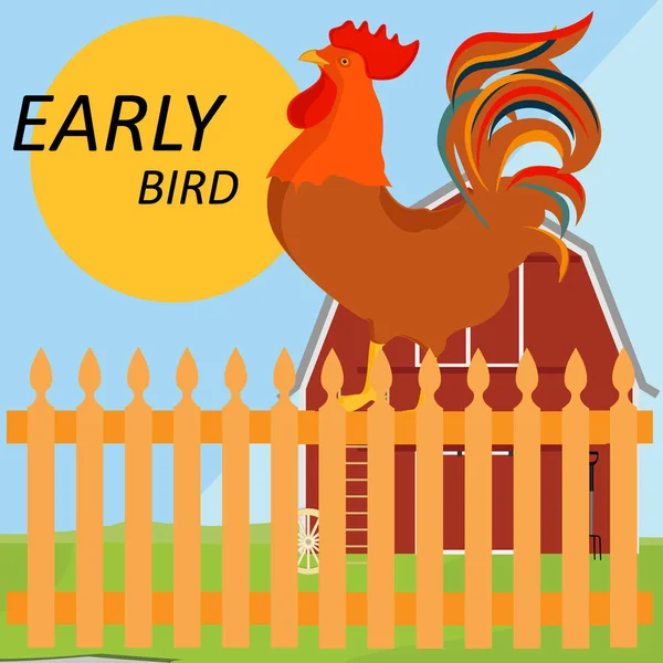 Early bird kavramı — Stok fotoğraf