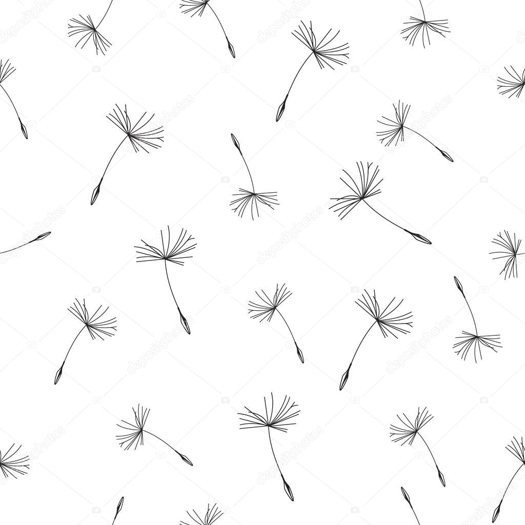 Dandelion nature pattern