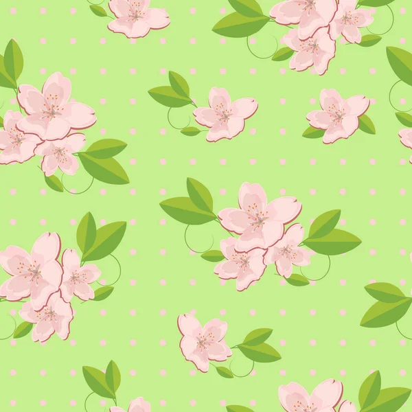 Sakura wzór zielony — Zdjęcie stockowe