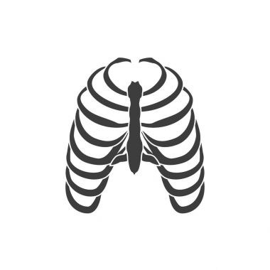 İnsan kaburgaları raster