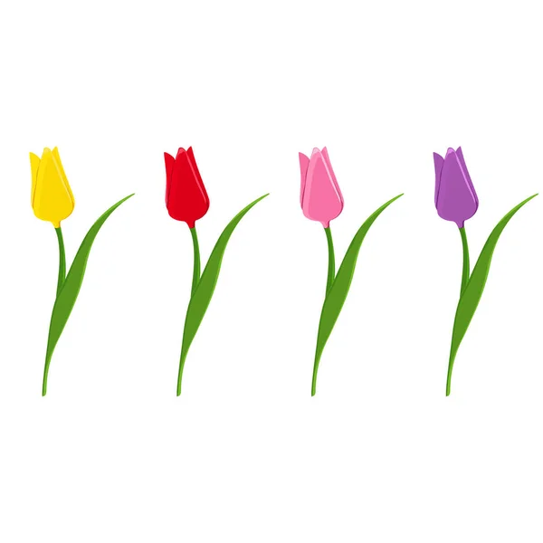 Tulips raster set — Stock Photo, Image