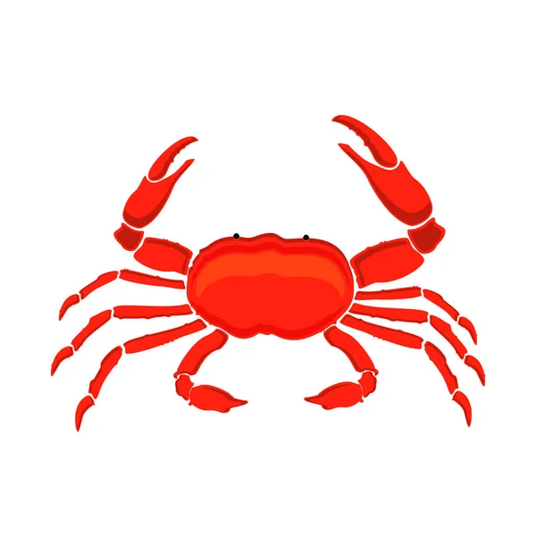 Rode krab raster — Stockfoto