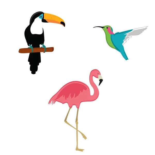 Exotic birds raster — Stock Photo, Image