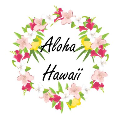 Aloha hawaii raster