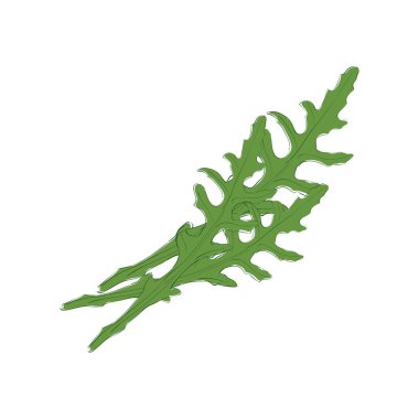 Elle çizilmiş roka