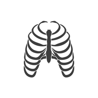 insan kaburgaları vektör