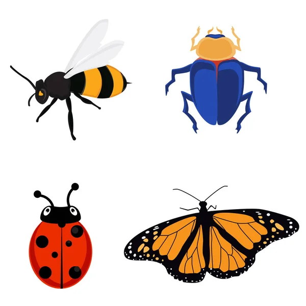 Conjunto de ícones de insetos — Fotografia de Stock