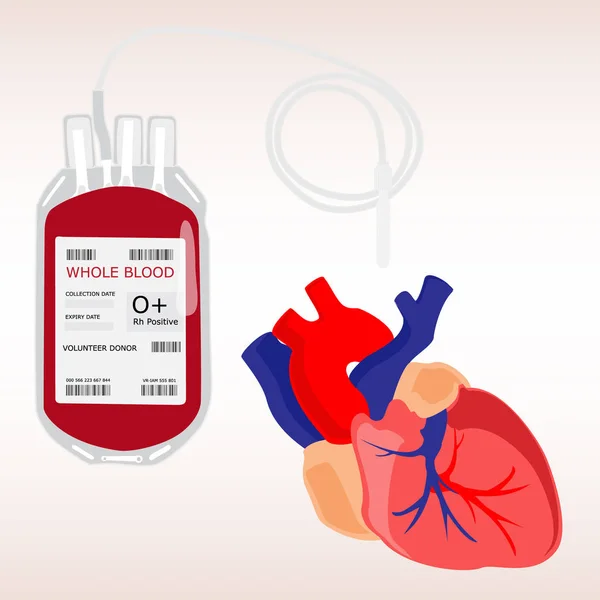 Corazón humano y bolsa de sangre — Foto de Stock