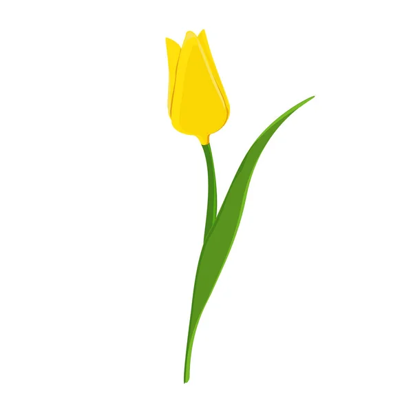 Yellow tulip raster — Stock Photo, Image