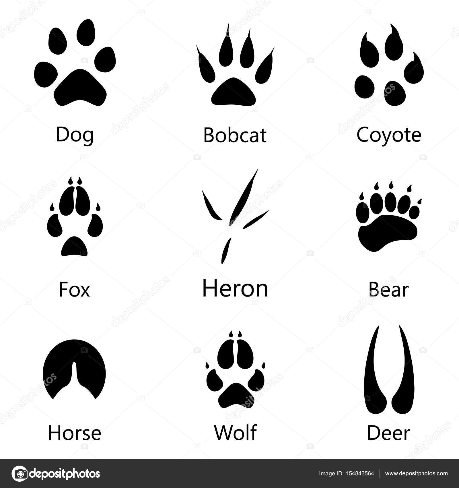 depositphotos_154843564 stock photo animal footprints raster