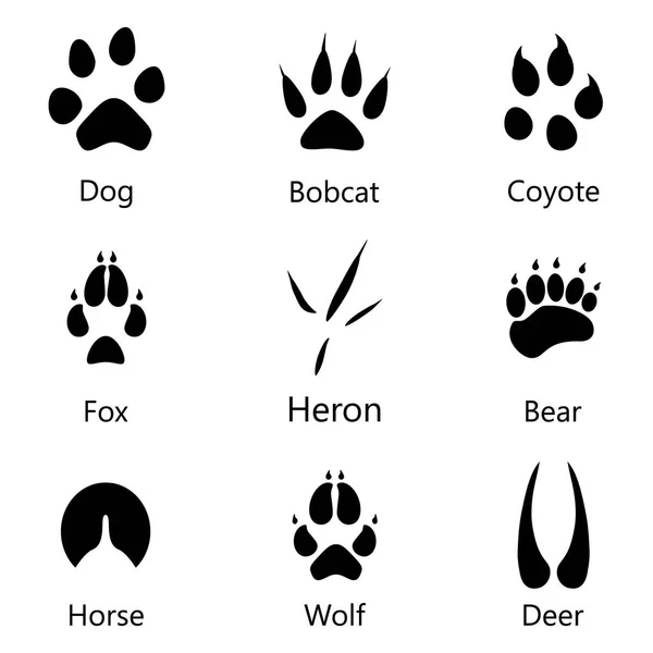 Animal footprints raster — Stock Photo, Image
