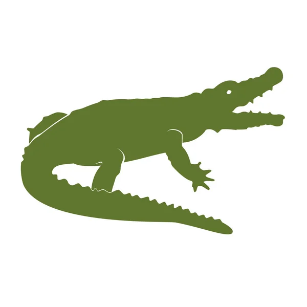 Green crocodile raster — Stock Photo, Image