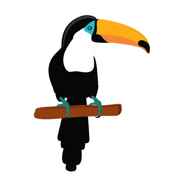 Toucan sittingon ramo — Foto Stock