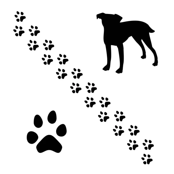 Dog footprints raster — Stock Photo, Image