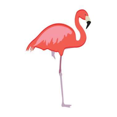 Pembe flamingo raster