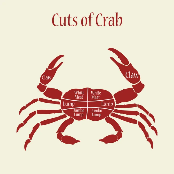 Cuts of crab — Stock Photo, Image