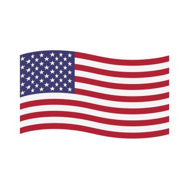 ABD bayrağı raster